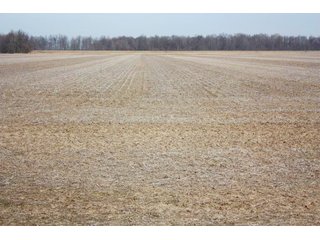 Property photo 1 - MAJOR LAND AUCTION - 541+/- Acres offered in 5 Tracts